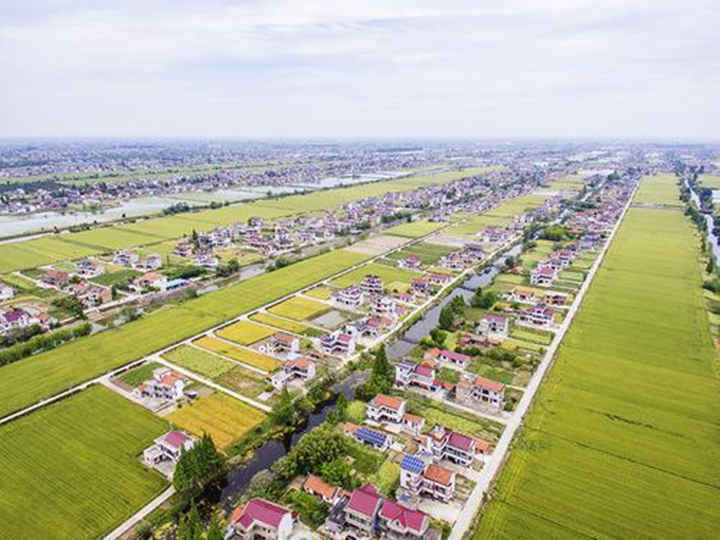 开元体育南通通州：高标准农田迎秋收 绘就乡村振兴好“丰”景(图4)