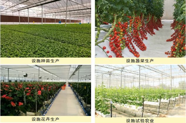 开元体育·(中国)官方网站设施农业机械化的发展现状及趋势(图1)
