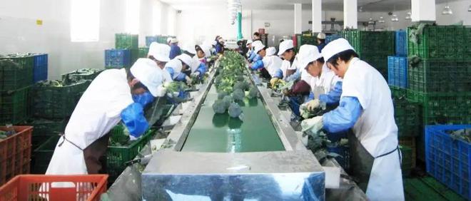 开元体育·(中国)官方网站全国典型台州这家龙头企业上榜(图1)