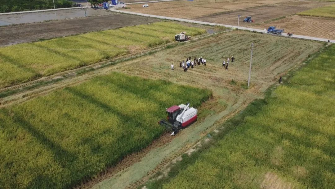 开元体育·(中国)官方网站科技兴农 科技强农——加快推进农业农村现代化发展(图5)