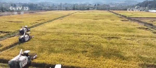 开元体育又是一年丰收时 填满“米袋子”“菜篮子”“果盘子”(图3)