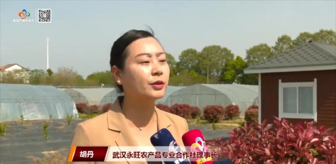 开元体育无人机+无人驾驶+全自动化“汗水农业”变身“智慧农业” ！(图4)