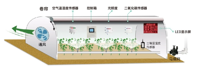 开元体育·(中国)官方网站农业物联网蓝莓智能灌溉方案(图1)
