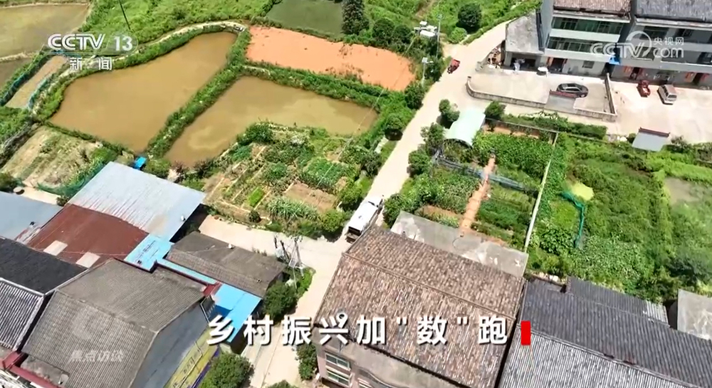 开元体育焦点访谈：乡村振兴加“数”跑(图8)
