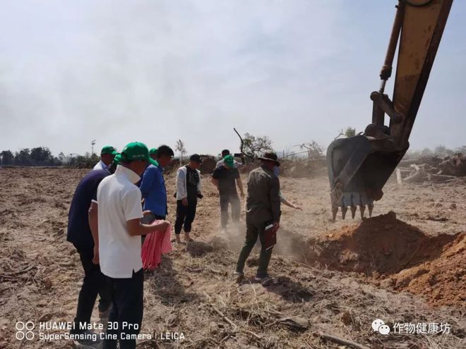 开元体育·(中国)官方网站种植业本质杂谈一文读懂当下的种植行业！(图11)