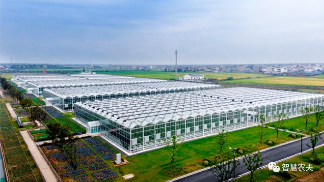 开元体育智慧农业让蔬菜大棚实现工厂化生产(图1)