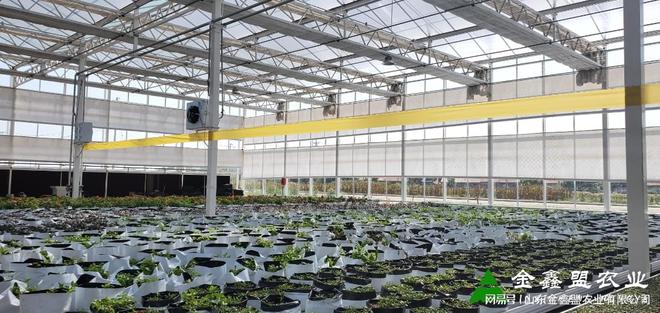 开元体育智能玻璃温室大棚建设费用大概多少钱一平方？(图3)