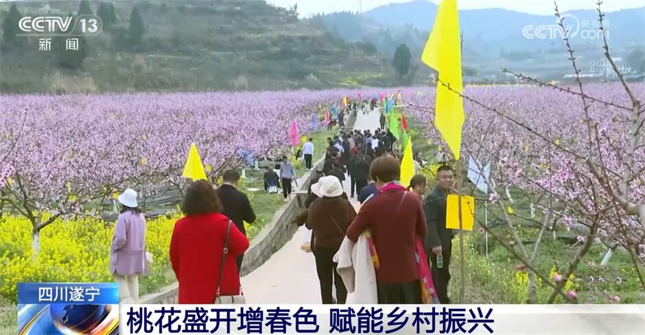 开元体育智慧“春雨”润大地、“花果经济”显生机 希望的田野涌动澎湃活力(图6)