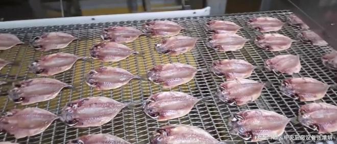 开元体育大型水产鱼类深加工机械生产鱼头鱼片鱼丸自动化设备(图5)