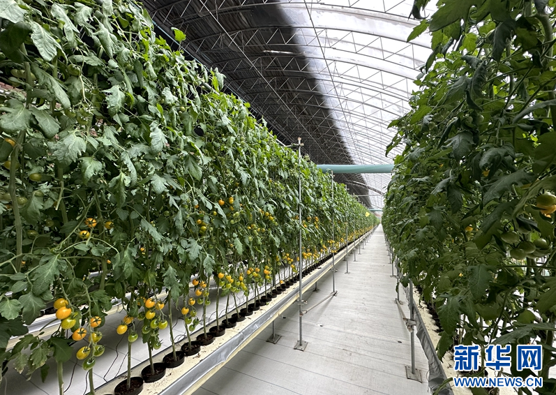 开元体育新华网辽宁频道(图2)