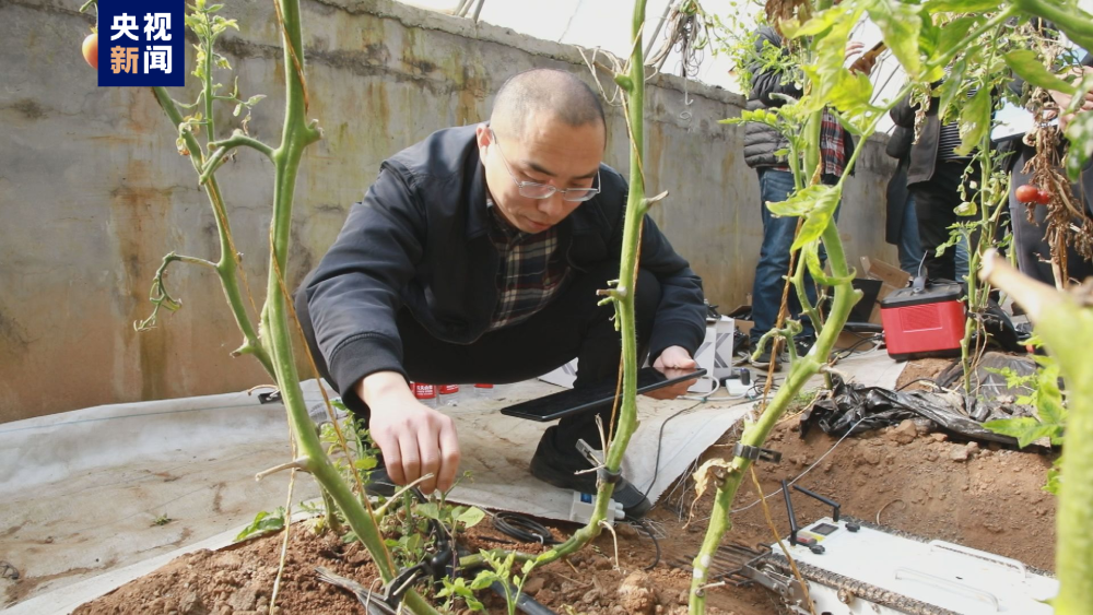 开元体育·(中国)官方网站科技助力春耕 智慧农业技术来到田间地头(图2)