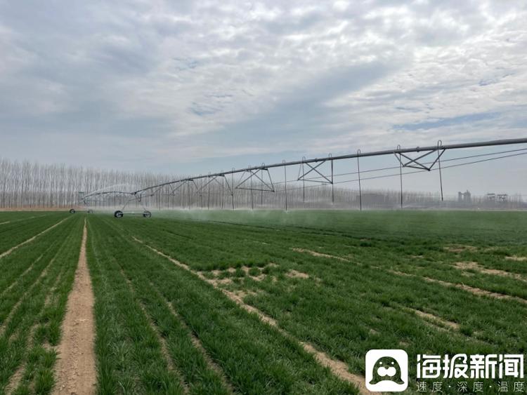 开元体育齐鲁春耕进行时丨万亩高标准农田的智能化春耕 灌溉、施肥、打药均可手机操作(图2)