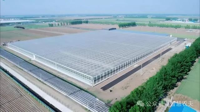开元体育现代设施农业连续多年写入中央一号文件为什么国家这样重视？(图1)