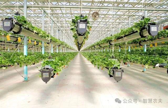 开元体育现代设施农业连续多年写入中央一号文件为什么国家这样重视？(图6)