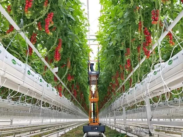 开元体育现代设施农业连续多年写入中央一号文件为什么国家这样重视？(图2)