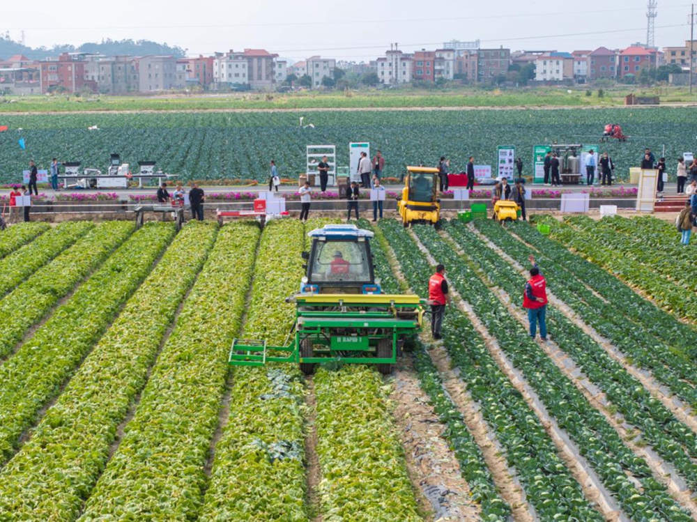 开元体育全国露地蔬菜生产全程机械化技术装备培训班在福建惠安举行(图2)
