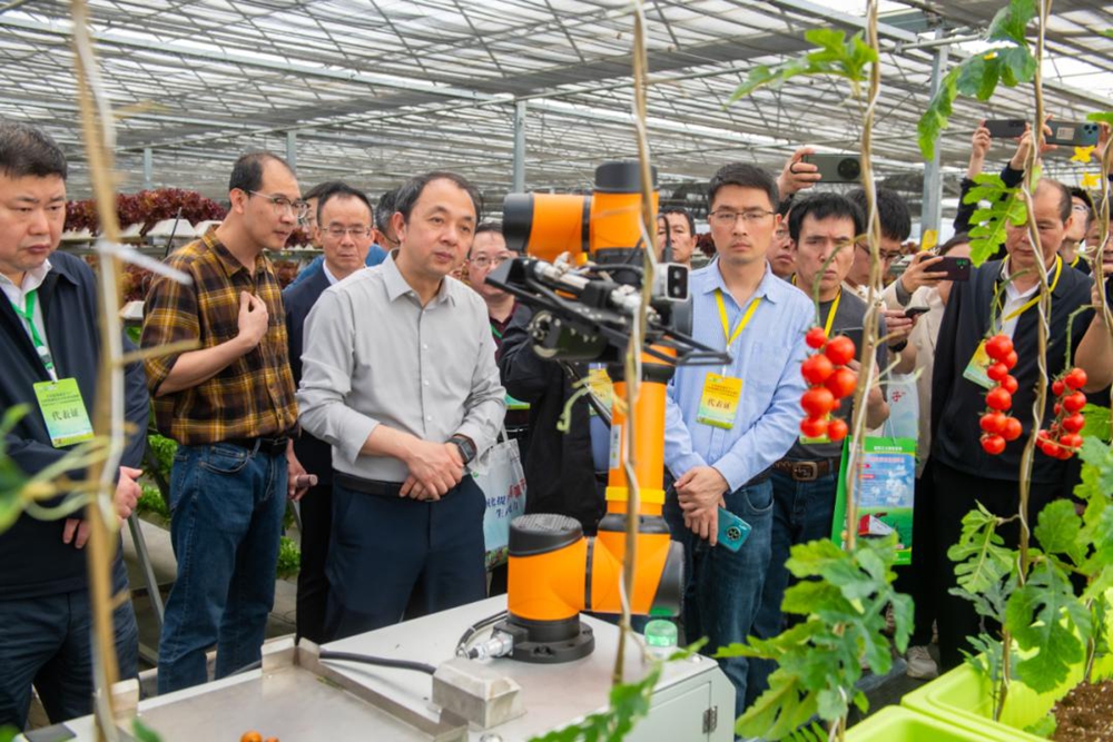 开元体育全国露地蔬菜生产全程机械化技术装备培训班在福建惠安举行(图4)