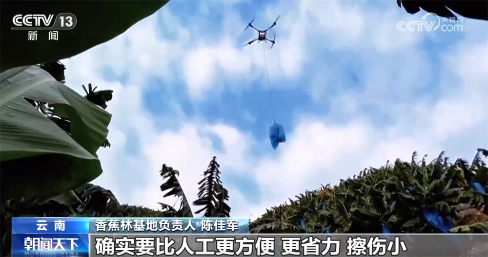 开元体育·(中国)官方网站传统农业焕“新”“智”变 喜看“三农”新图景 中国经济(图7)