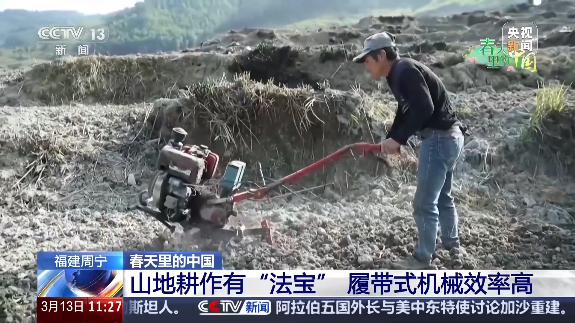 开元体育·(中国)官方网站赏花经济拉动双重效益 春耕备耕还有这些“法宝”(图1)