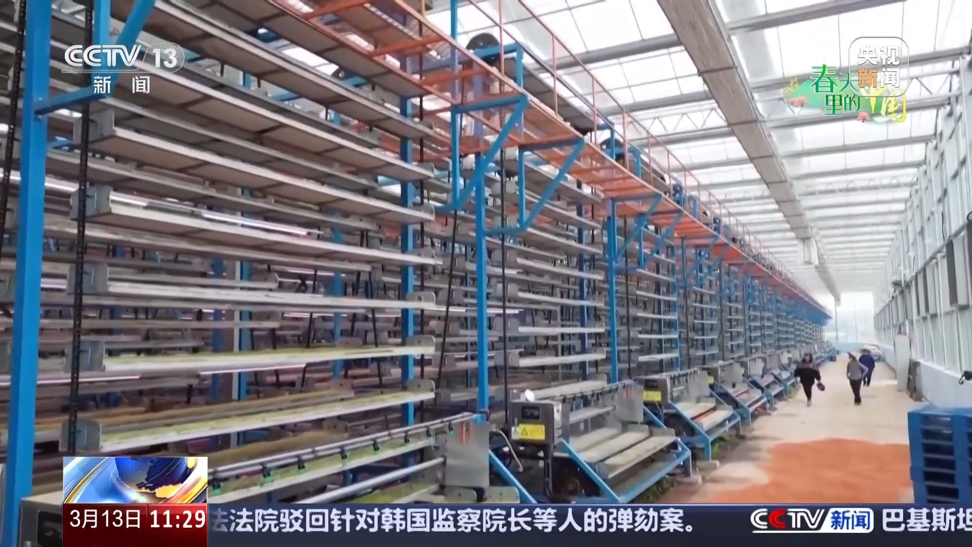 开元体育·(中国)官方网站赏花经济拉动双重效益 春耕备耕还有这些“法宝”(图3)