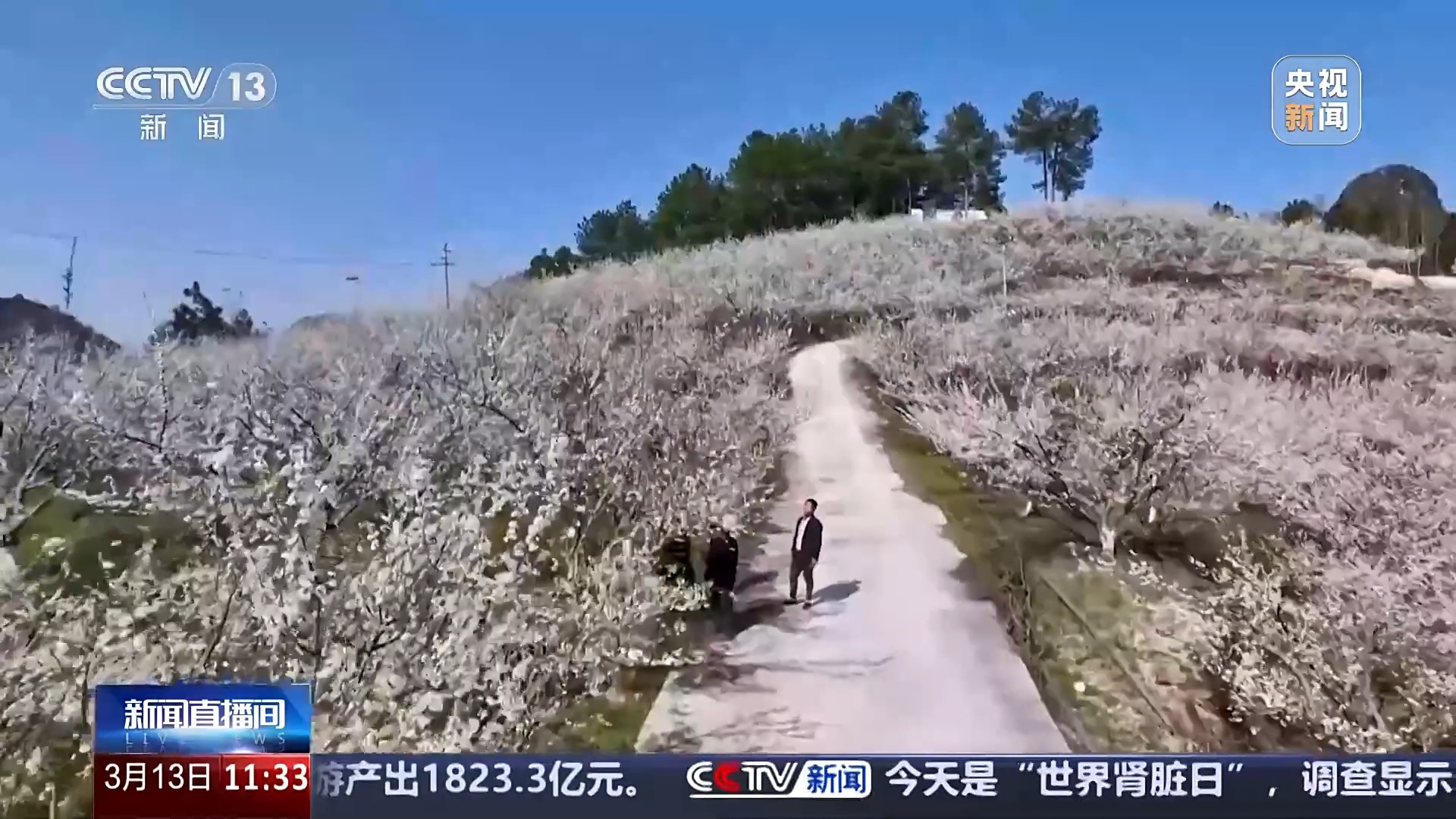 开元体育·(中国)官方网站赏花经济拉动双重效益 春耕备耕还有这些“法宝”(图6)